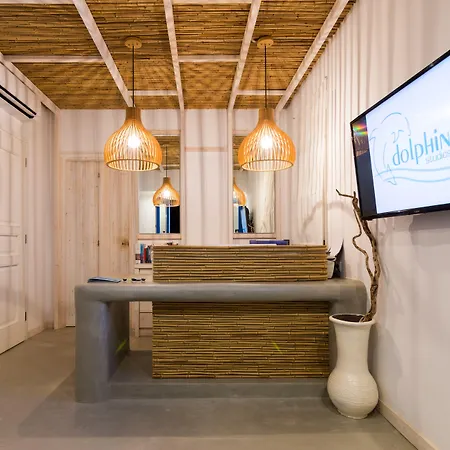 アパートホテル Dolphin Kastraki Kastrákion